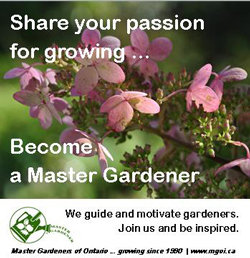 Become a Master Gardener