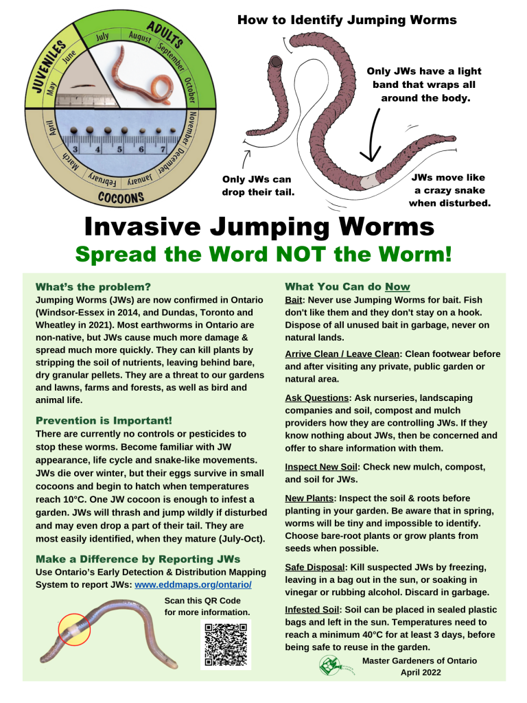 Jumping Worms